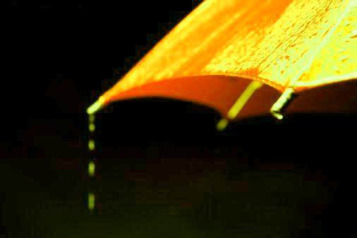 umbrella-rain